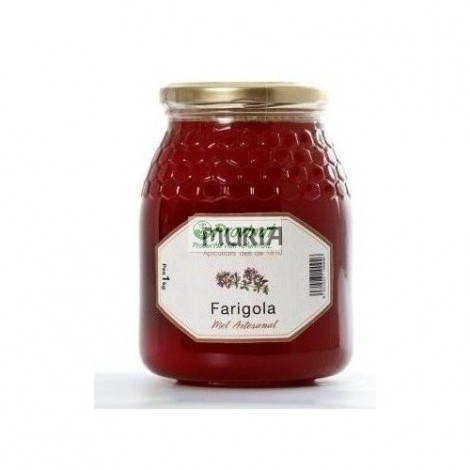 MIEL DE TOMILLO 1KG - MURIA
