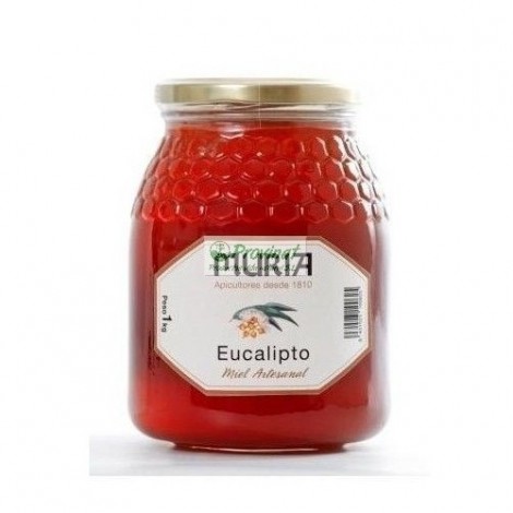 MIEL DE EUCALIPTO 1KG - MURIA